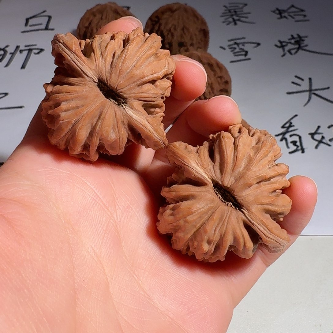 ****金核桃老树红皮四座楼42