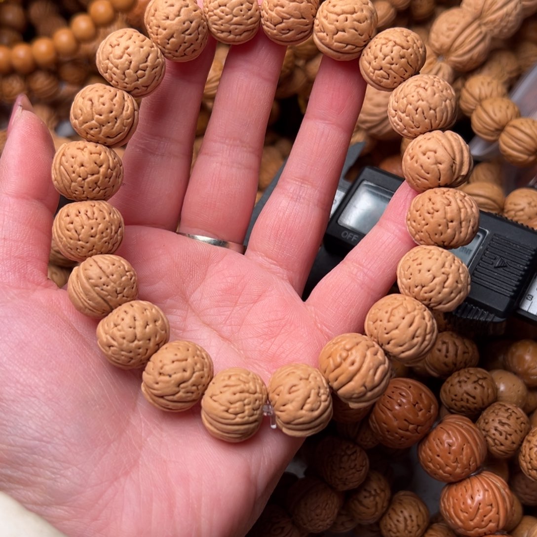 16尺寸野生铁扇桃核