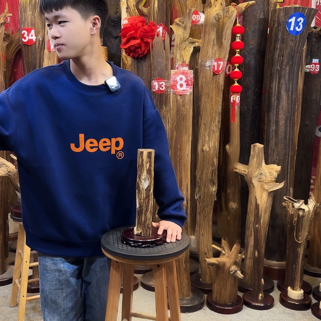 沉香摆件海南沉香