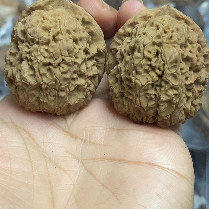 把件文玩核桃云南铁核桃基地16