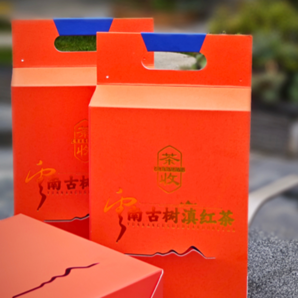 【明智师兄】 2024年云南古树滇红茶350g