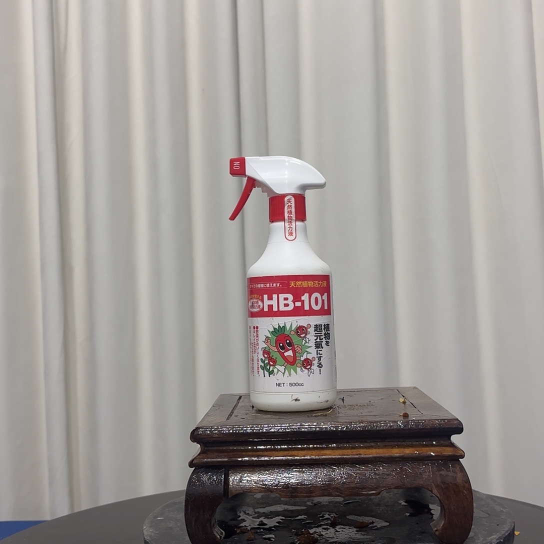 万***意完全开放杜鹃杜鹃杜鹃杜鹃