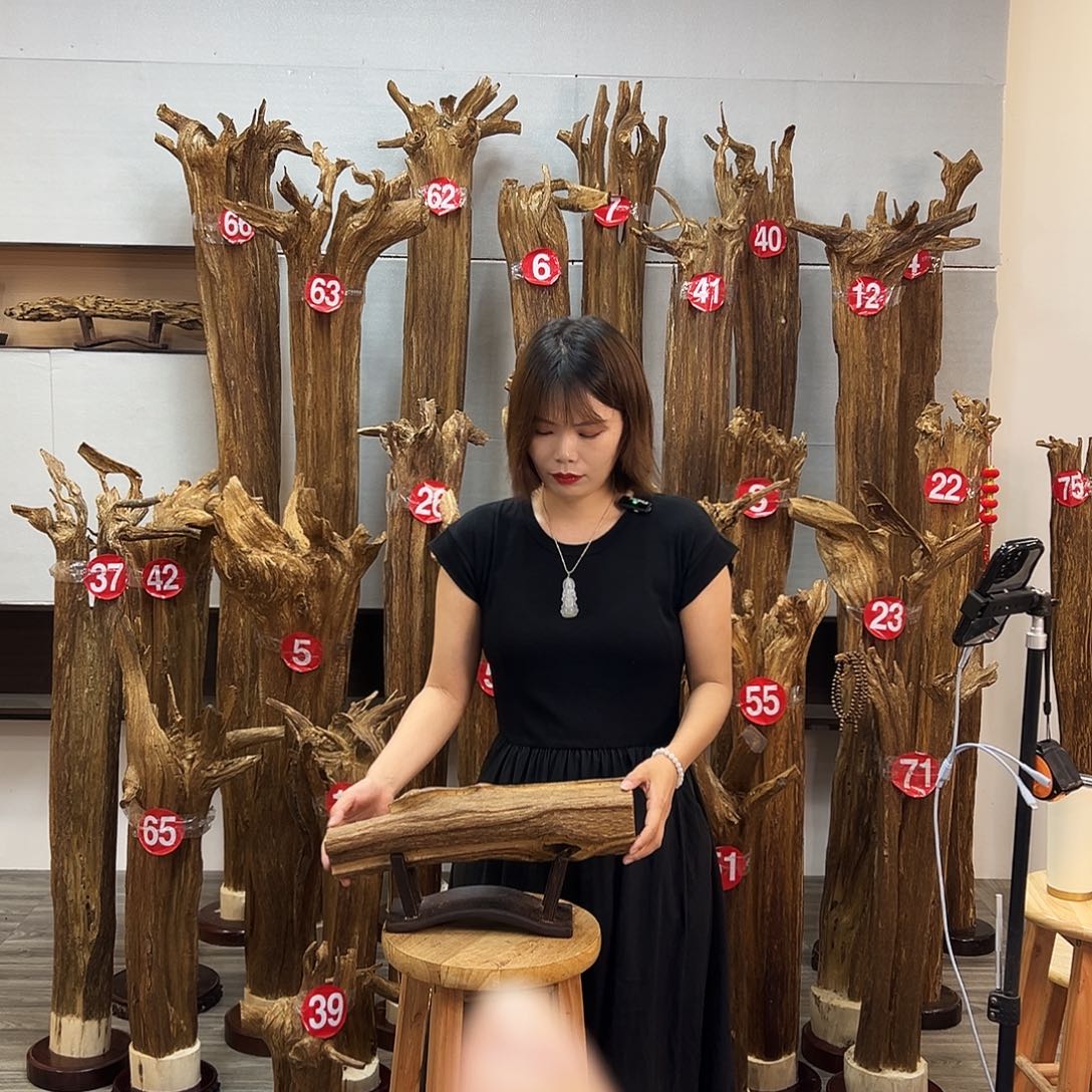 摆件沉香沉香摆件