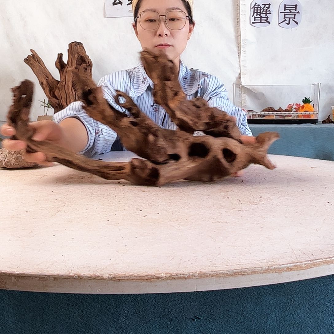 W*，沉木造景寄居蟹景