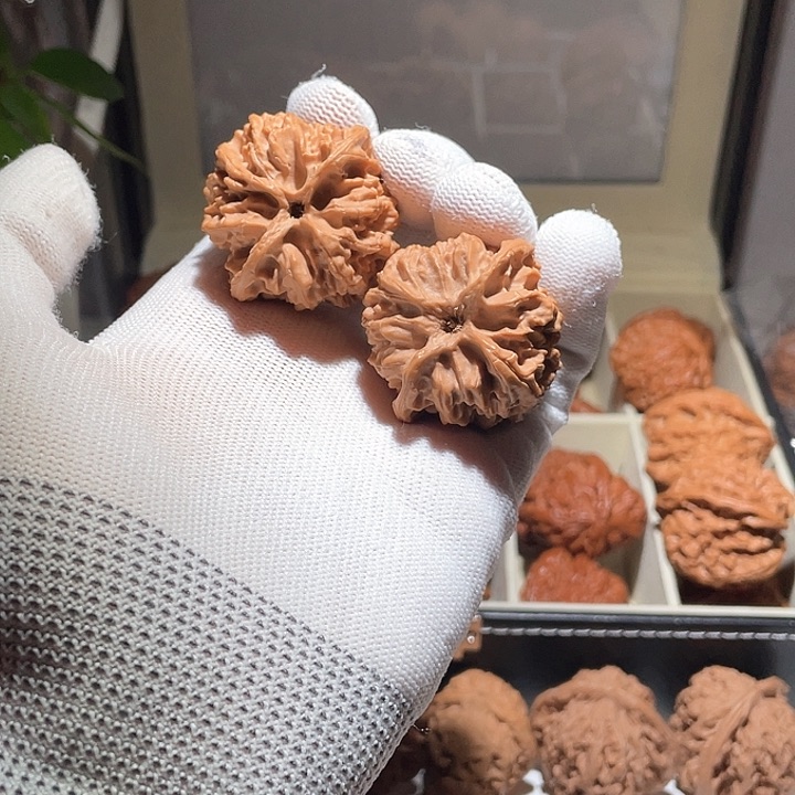 好**话40全品苹果狮子头