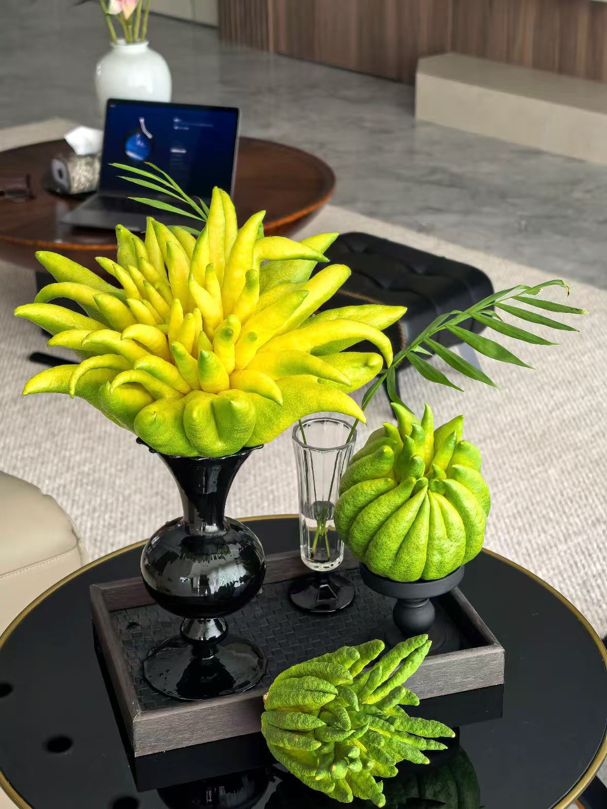 重磅福利【大姐夫云南佛手】基地直采直高端花材观赏闻香 