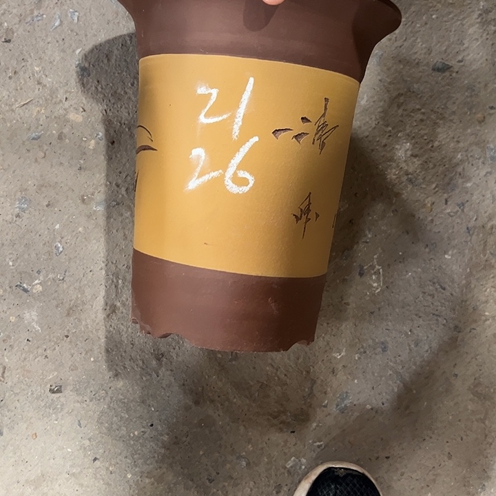 紫砂艺术学院美术