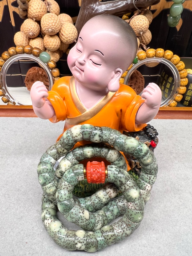 10大眼睛大肠海南原生态星月菩提