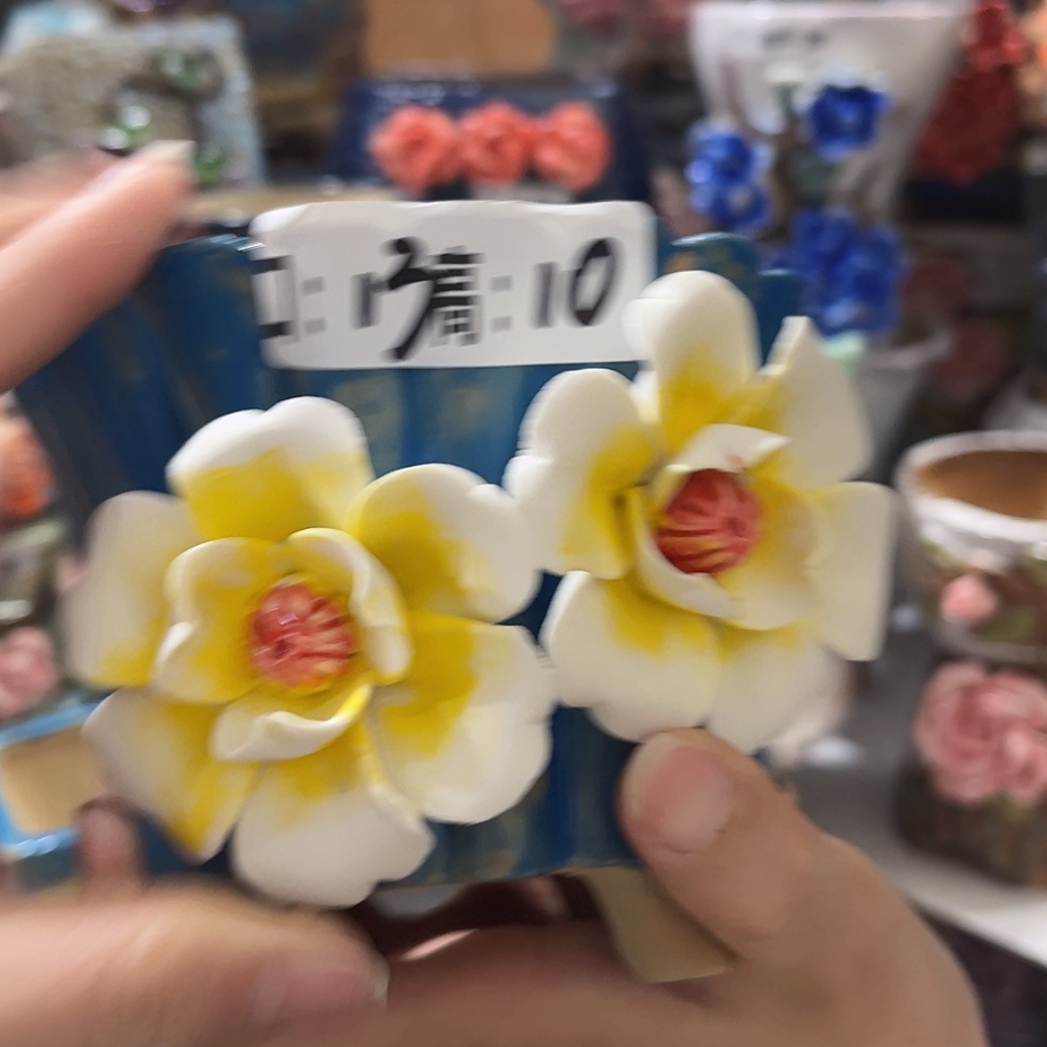 【闪购商品】红陶福利