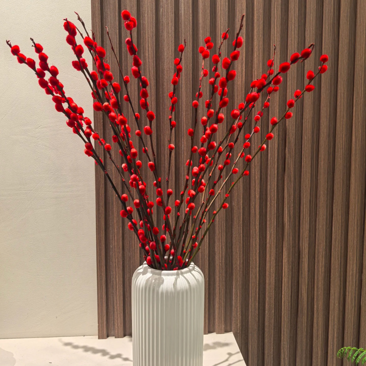 新春银柳1扎30枝