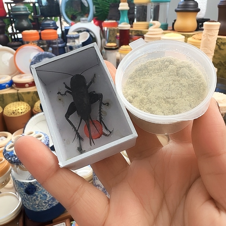 2黑虫➕食啊啊啊啊啊啊