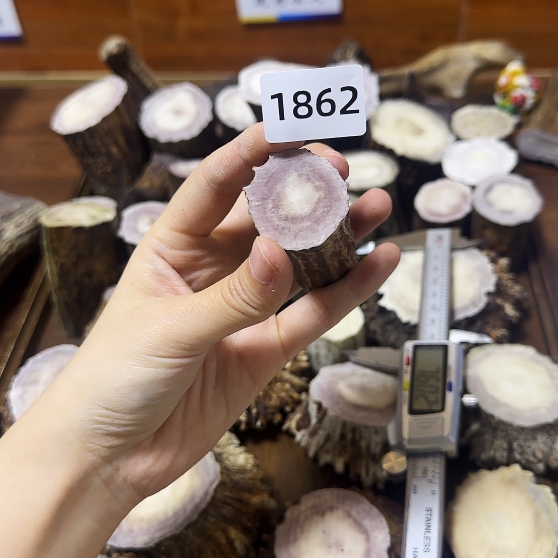 手串/手链鹿骨1862根段