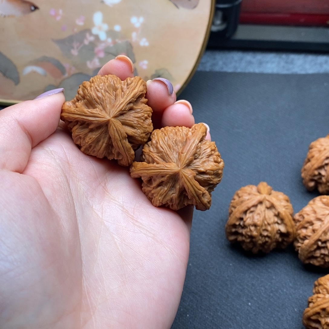 冲白狮子111111111