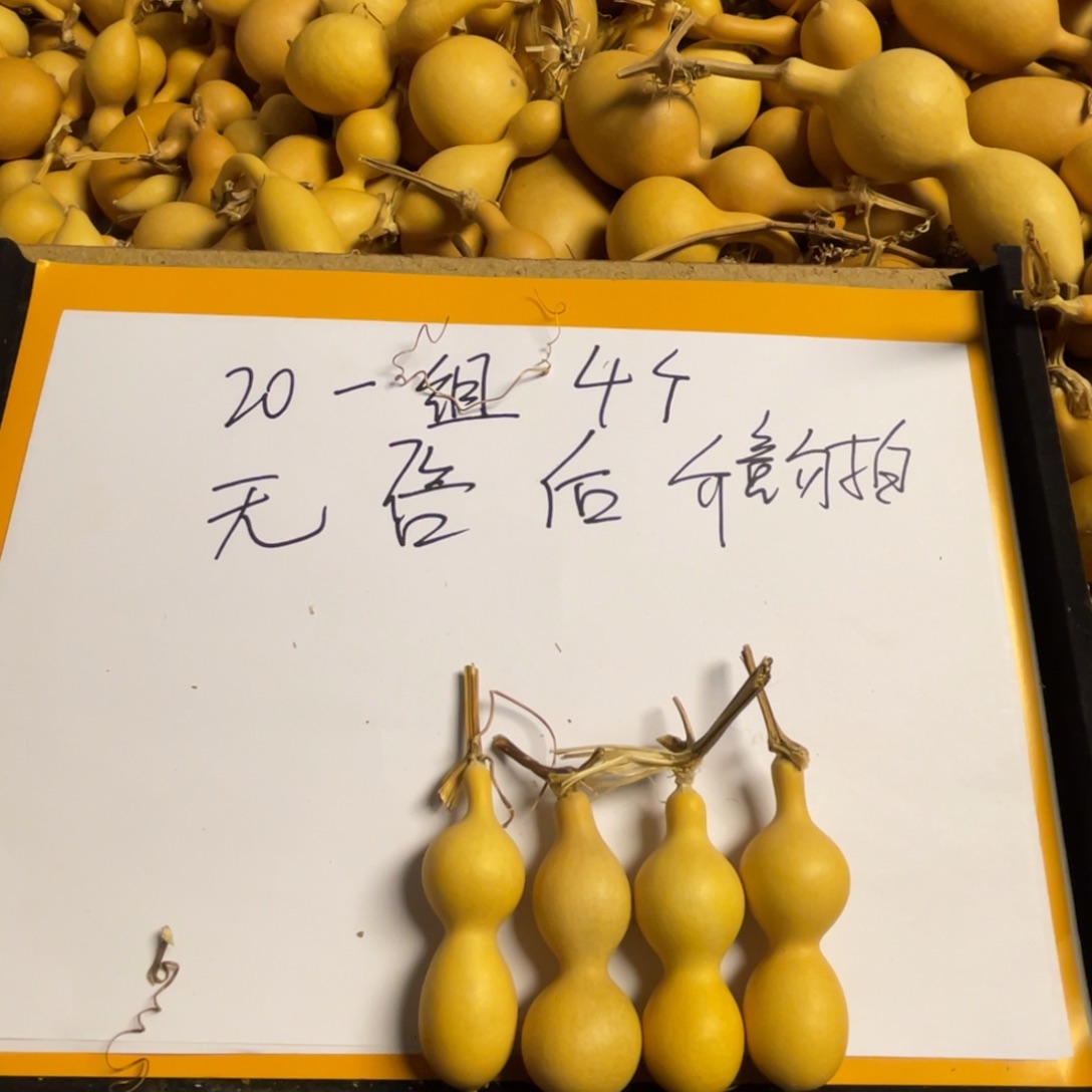 _****_花花我的爱是真的很甜了打
