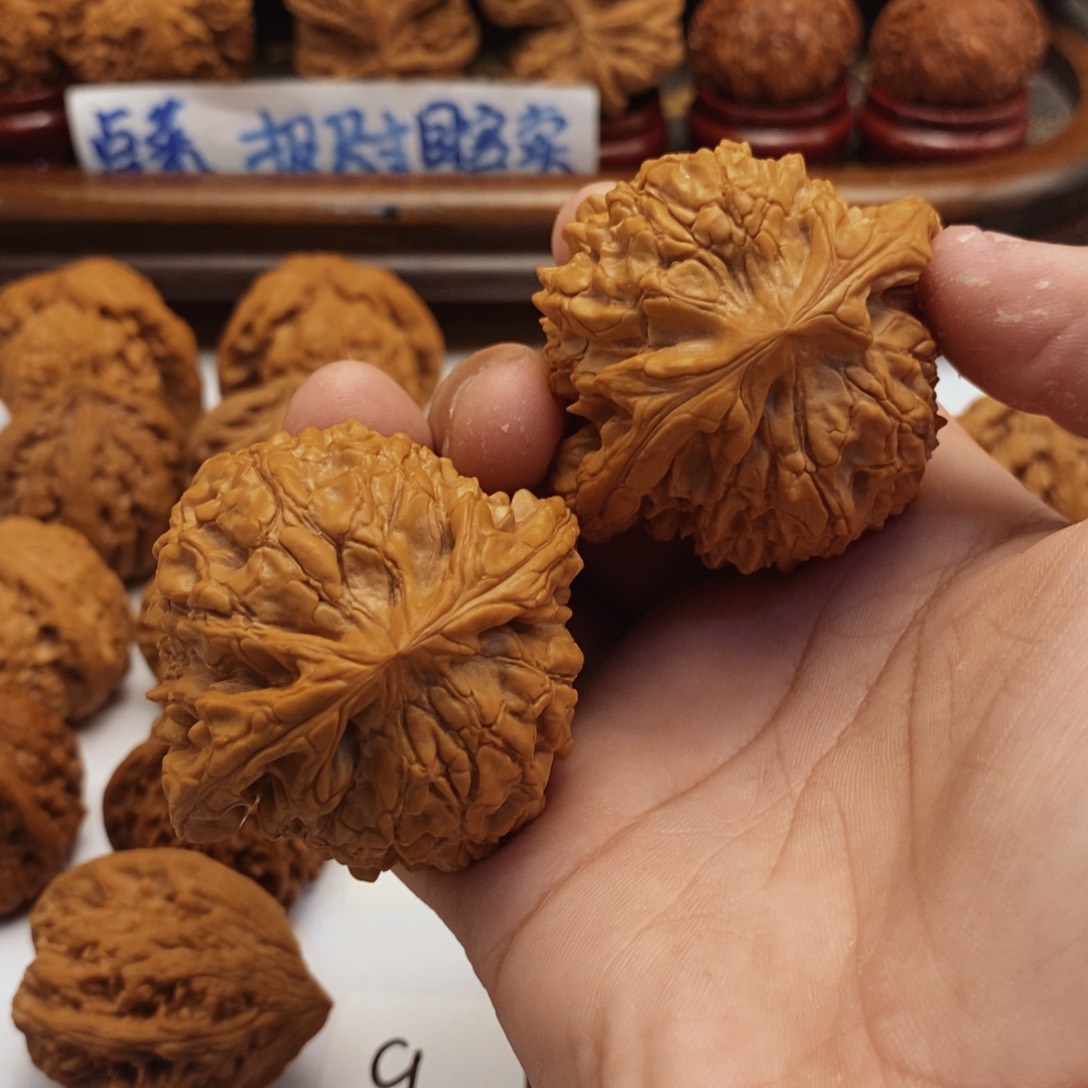 文玩核桃把件53尺龙鼎