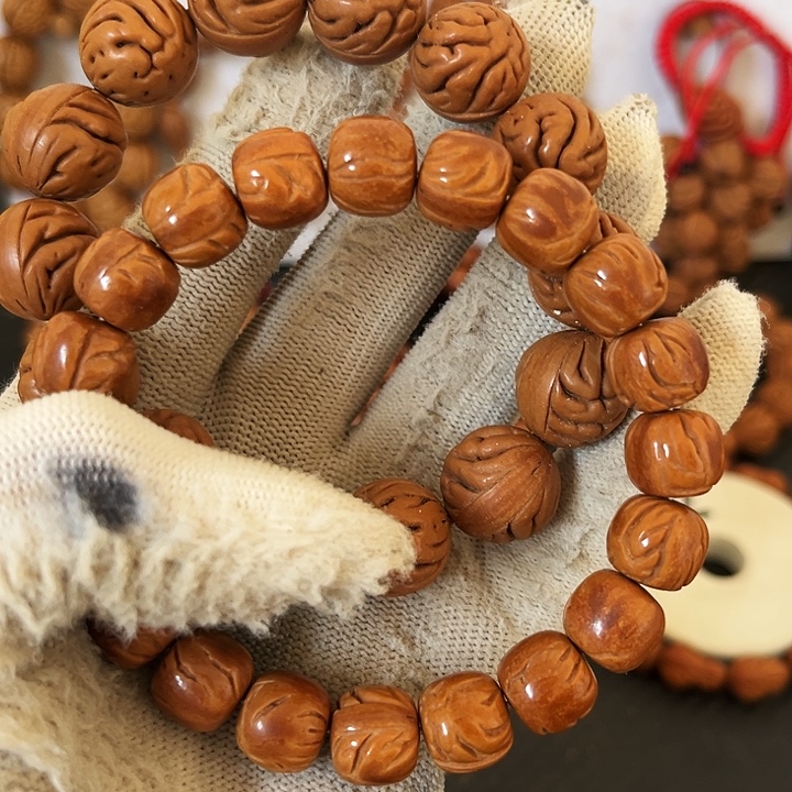 虫***虫探险125898999999999