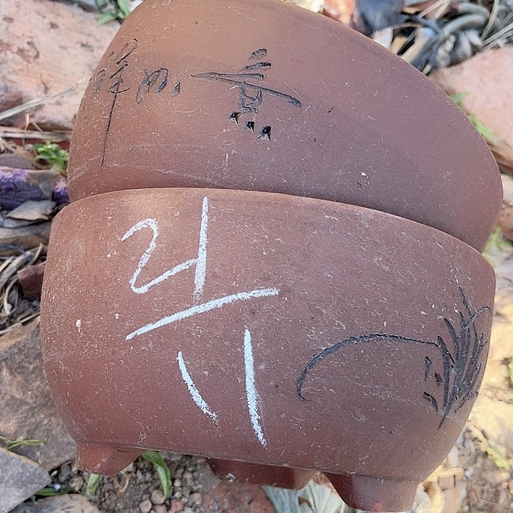 紫砂花盆紫砂花盆