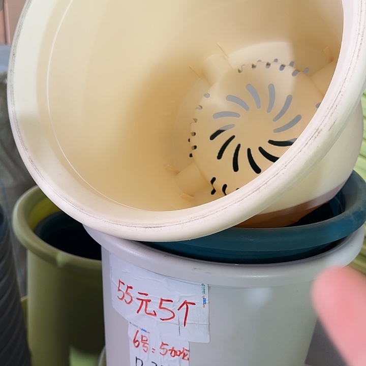 四季6号米黄无托7个特价