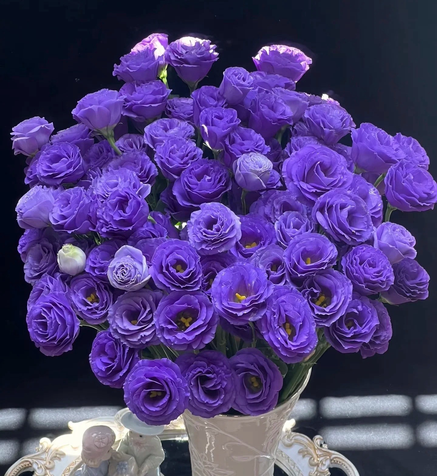 【深紫桔梗】精选清新紫桔梗家居摆放插花云南鲜花优质鲜切花