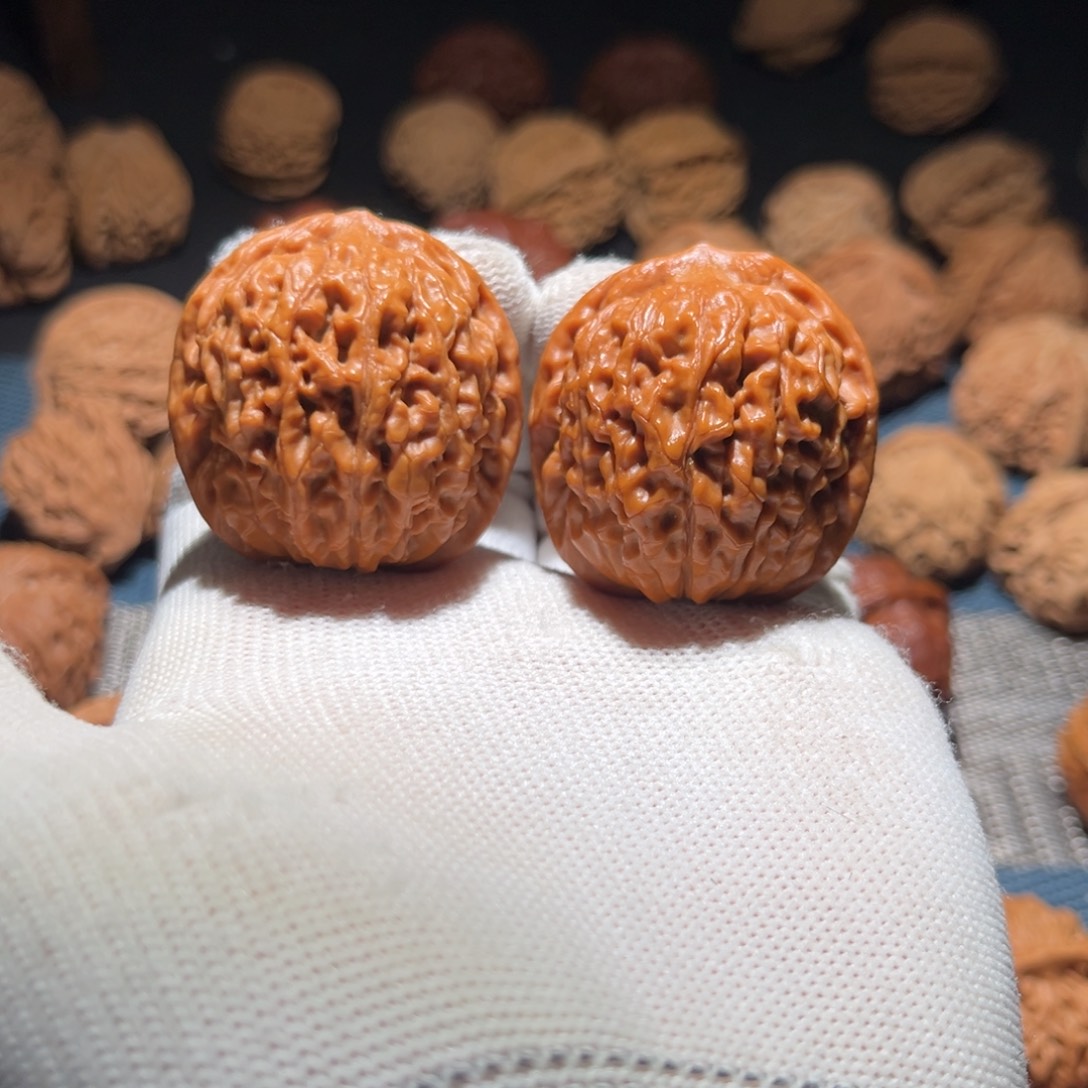 核桃38全品莲花核桃