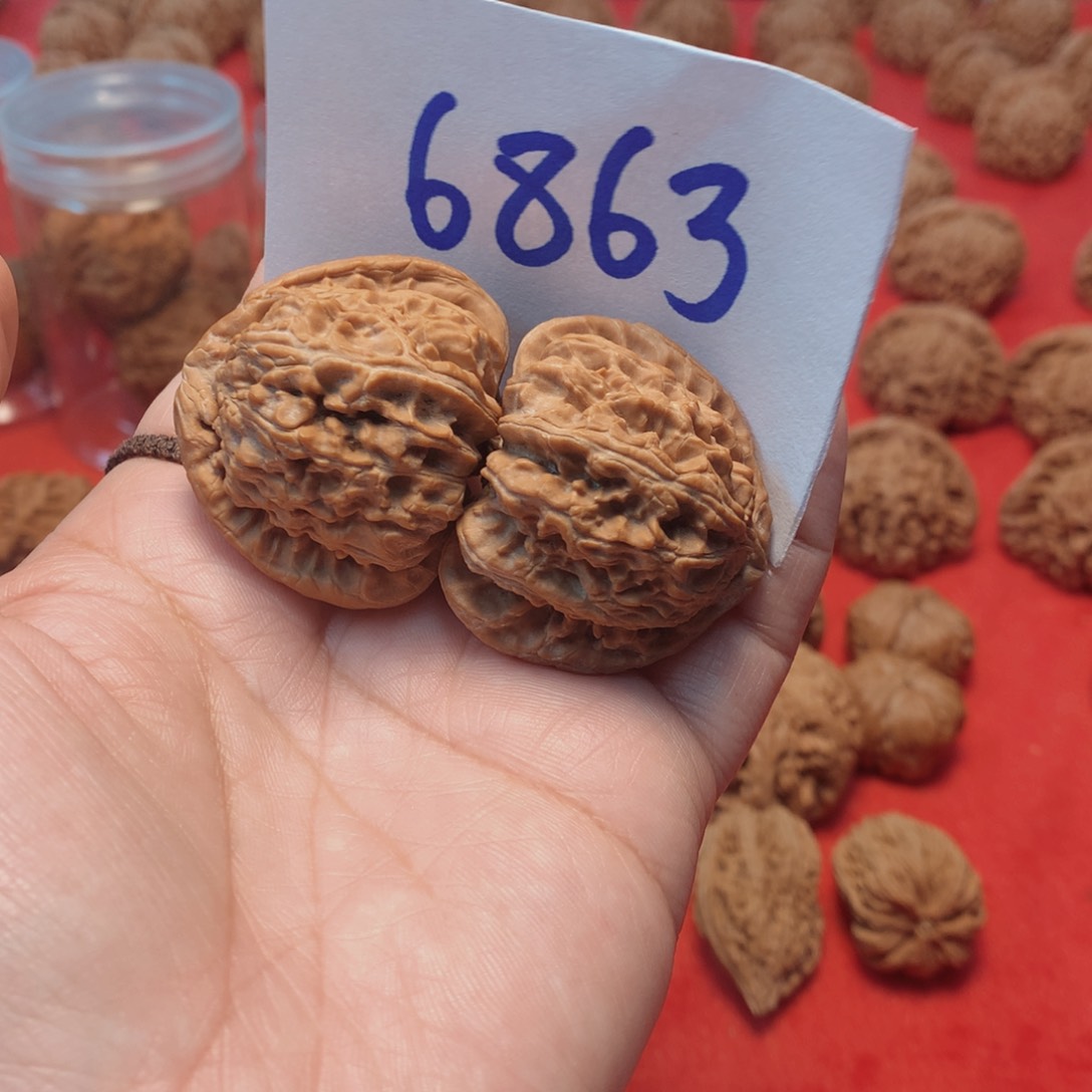 核桃手串/手链蜡*白狮子40尺