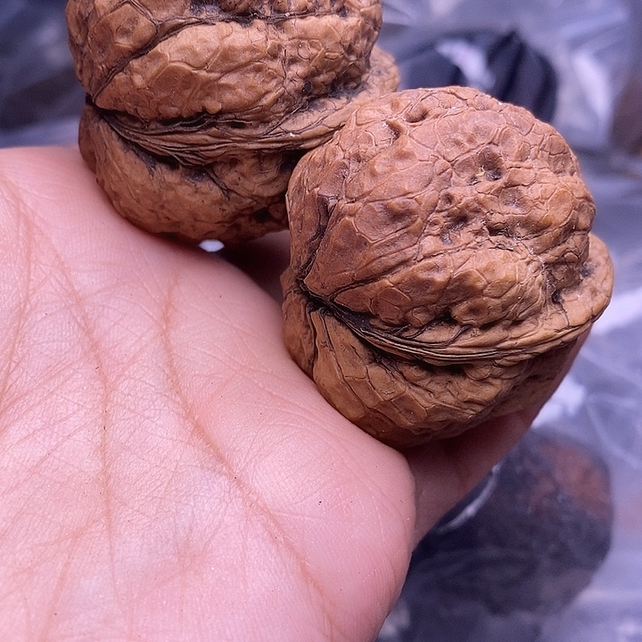 把件文玩核桃   263