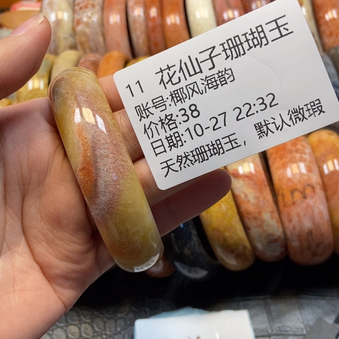 椰***韵硅化珊瑚（珊瑚玉）未镶嵌珠宝半成品11