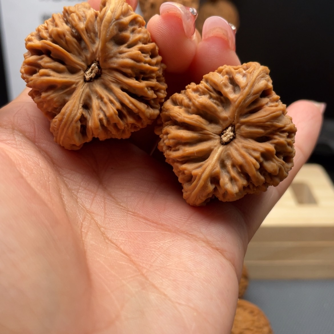 【闪购商品】文玩核桃吊坠从**白27号原树三角炮王