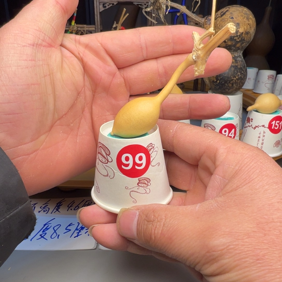 闪电购自助下单编号99