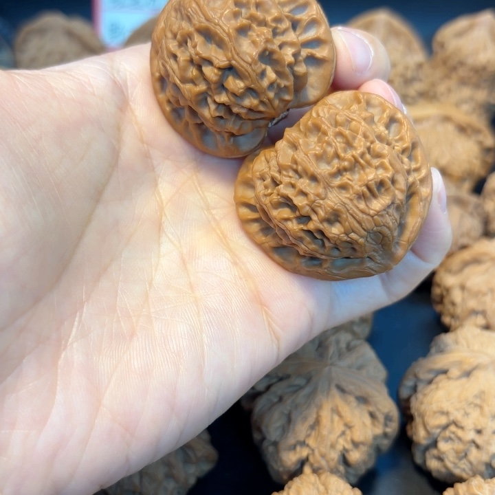 40宫灯全品无修全品