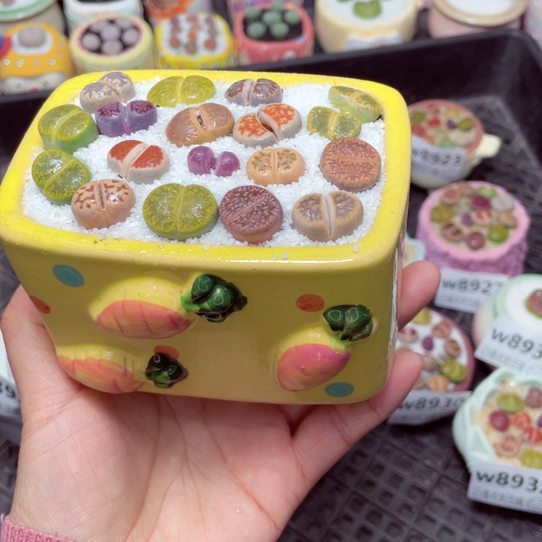 w8933 零下地区拍保温箱-15支持寄养