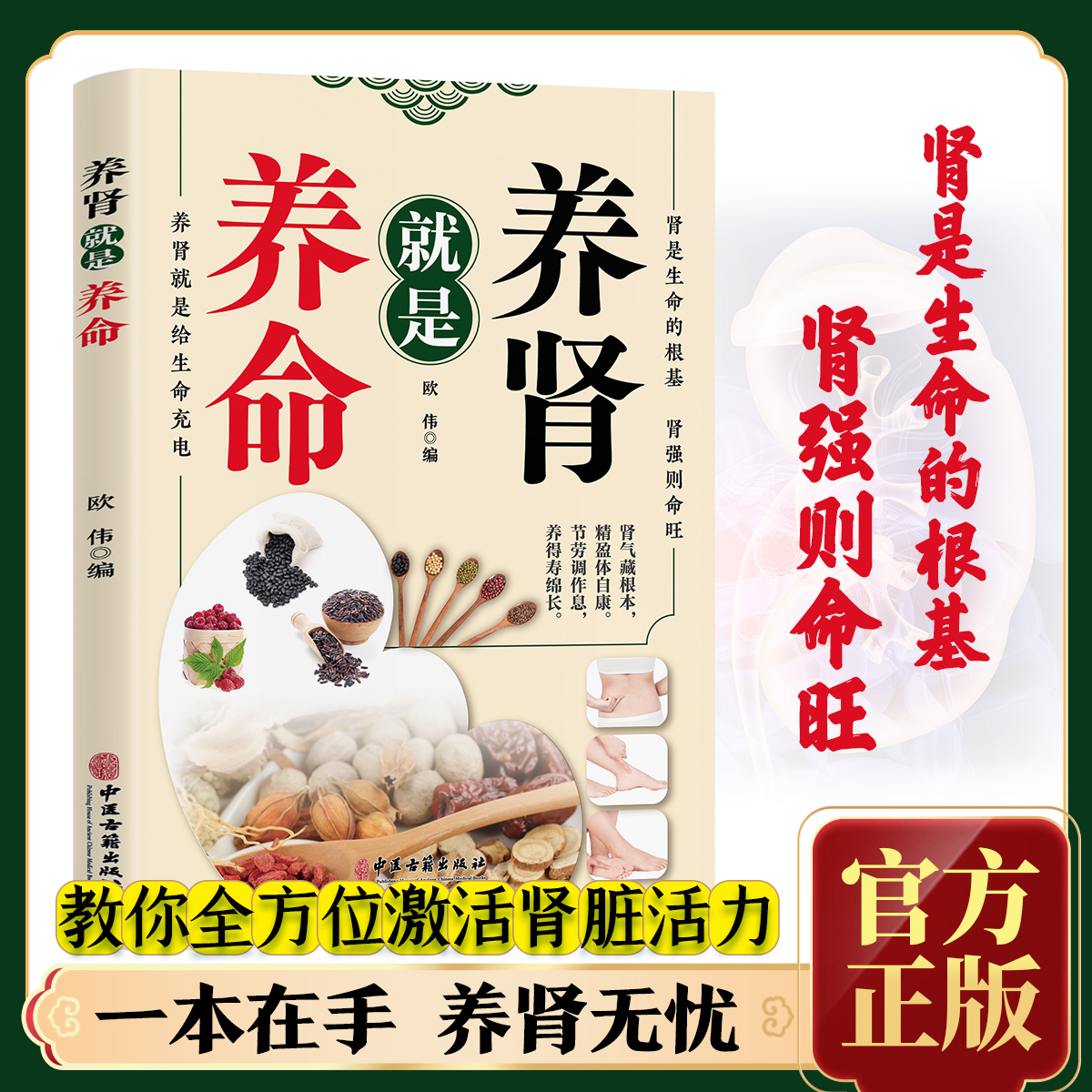 养肾就是养命 肾虚调理补肾固精强肾肾病饮食一本通书立秋养生