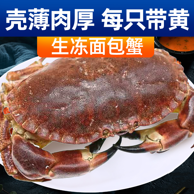 【胖东菜】生冻面包蟹 整只1.2斤/只 带膏面包蟹