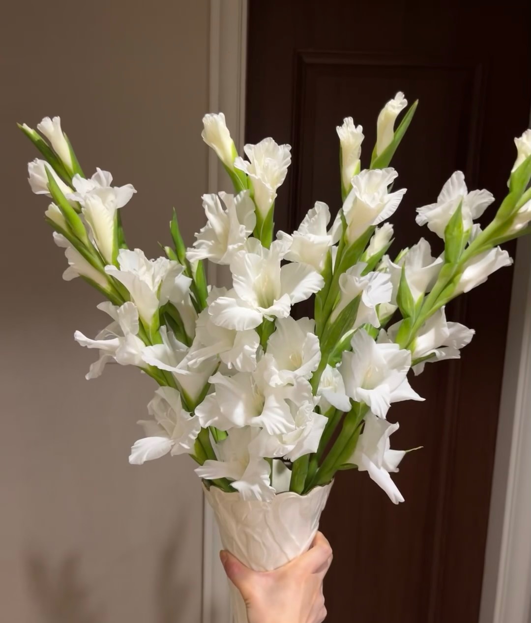【源头一手价】节节高   白色剑兰5支/10支云南基地鲜花 基地直发