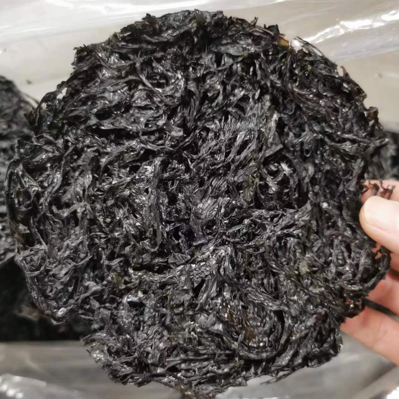 【阿峰推荐】小紫菜  头期新货