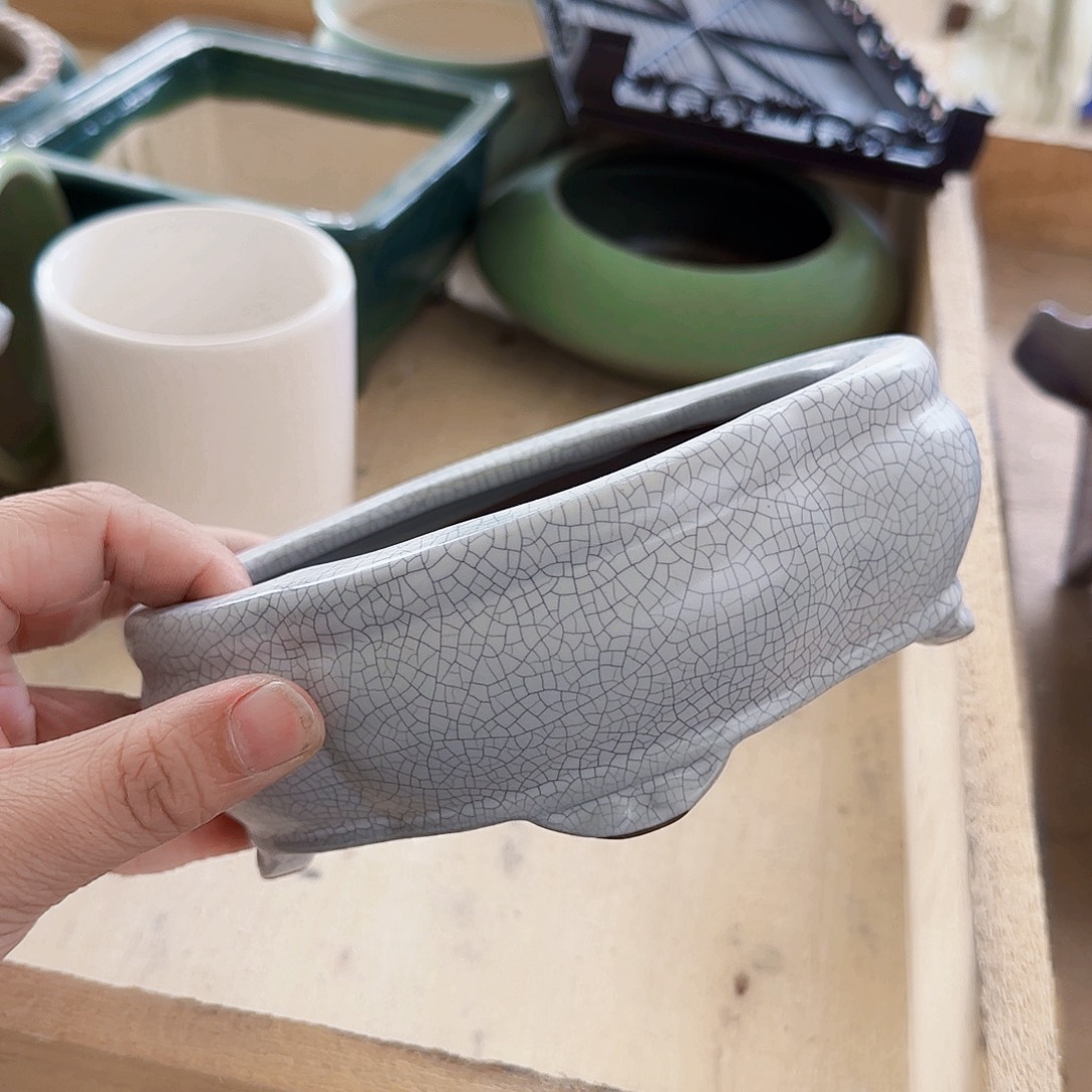 陶瓷花盆特价上新