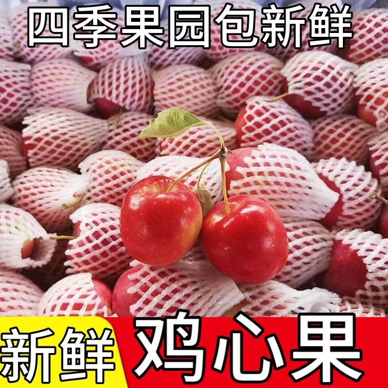 【东北地当季水果】新鲜采摘甜多汁锦绣海棠新品种鸡心果