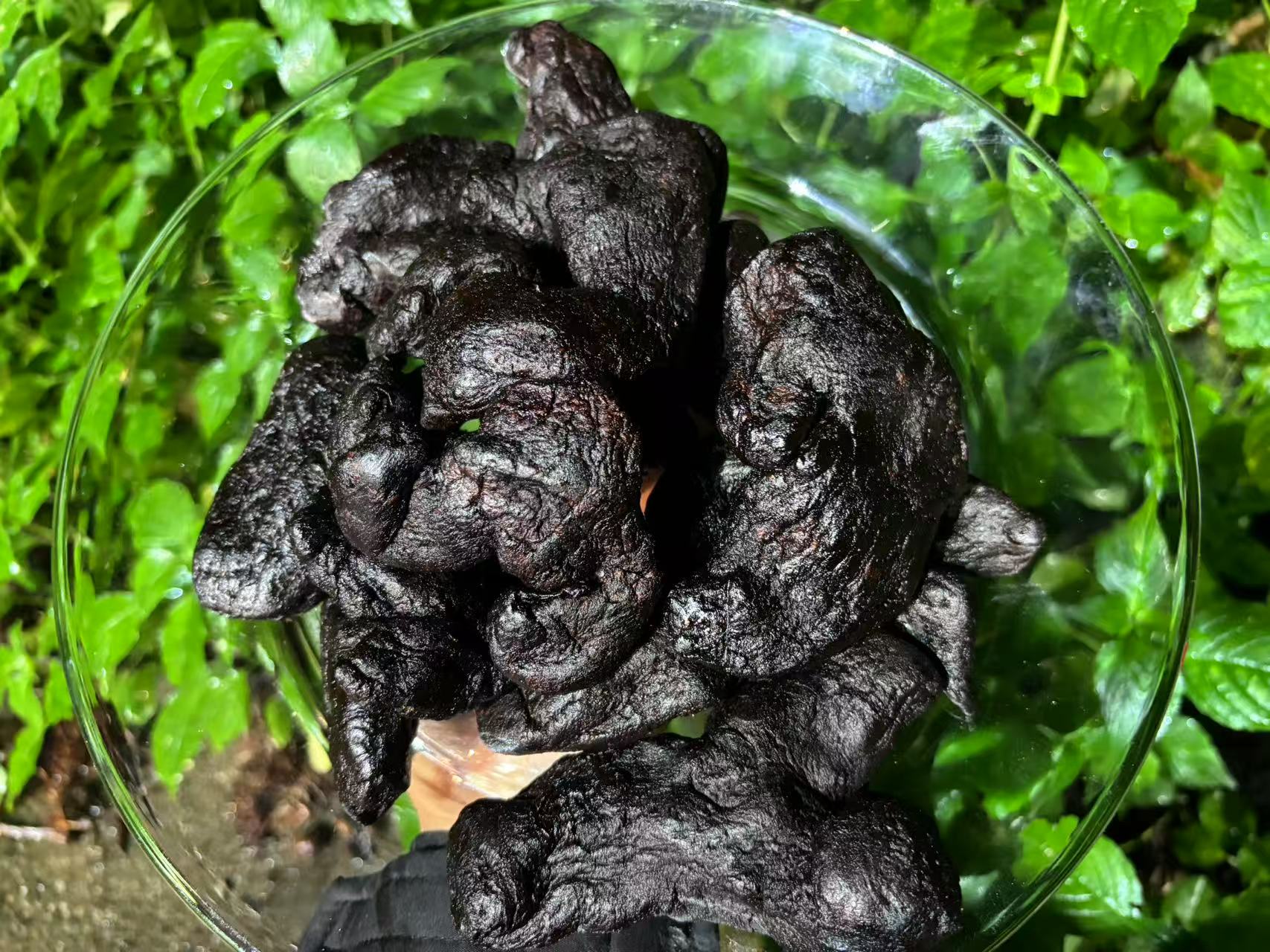 1【九-蒸-九-晒-H-J】米面净含量250g-1000g【阿虎现收】粮
