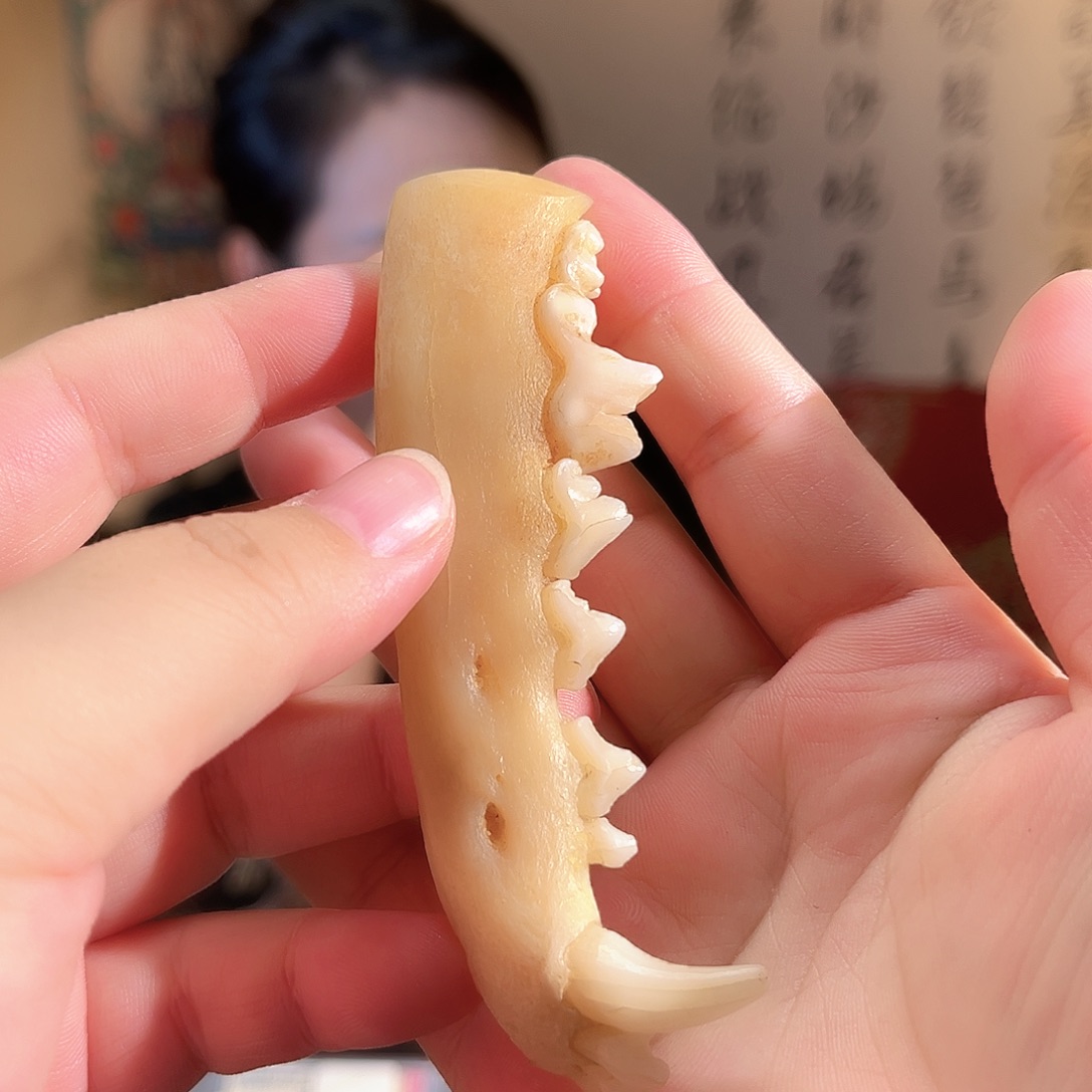 树脂制品好好好啊好喜欢好喜欢好