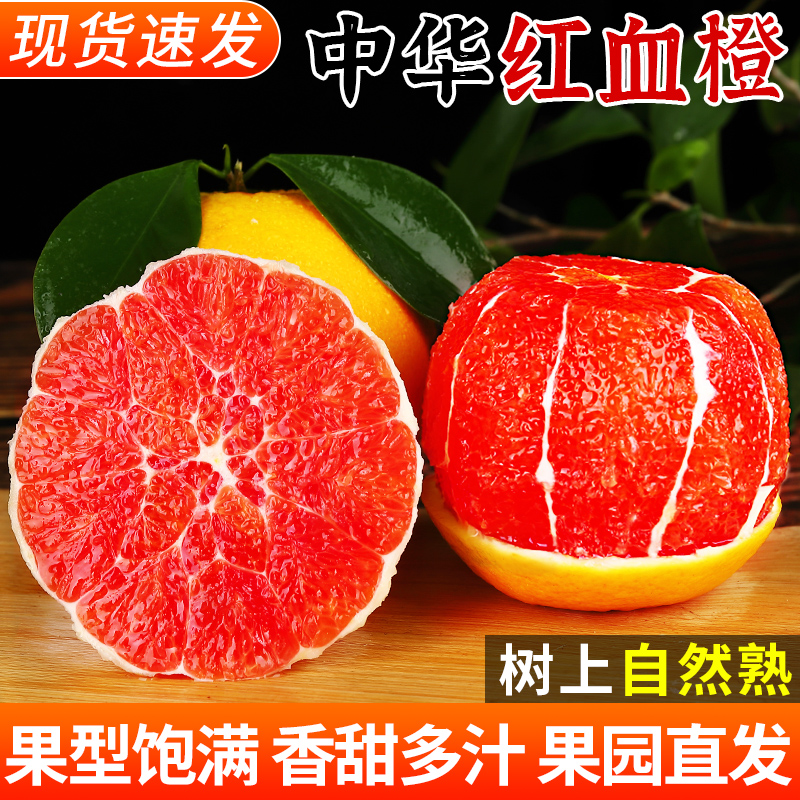 正宗中华红血橙新鲜水果红橙子当季整箱大果橙子脐红心甜橙原产地