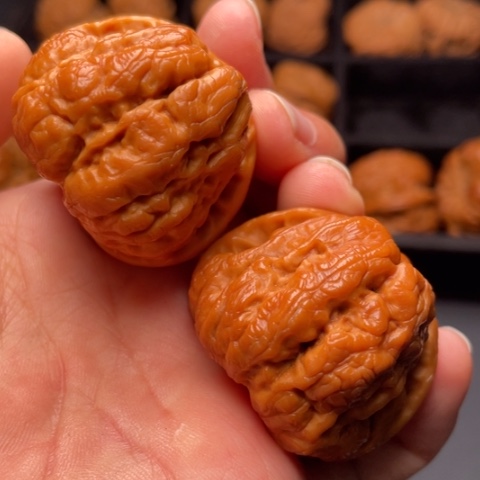 文玩核桃把件秦岭山脉核桃