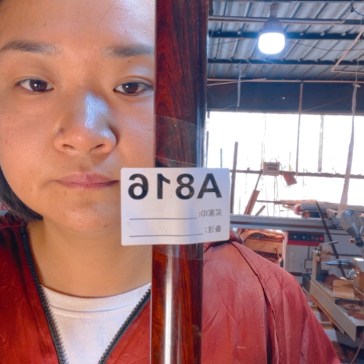 【闪购商品】风车木（黑檀木）追**阳816