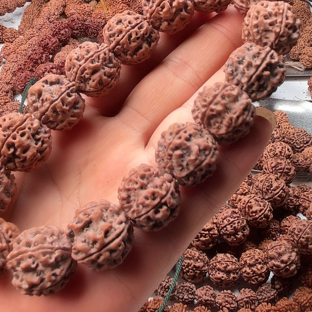 策***腾手串金刚菩提21老籽