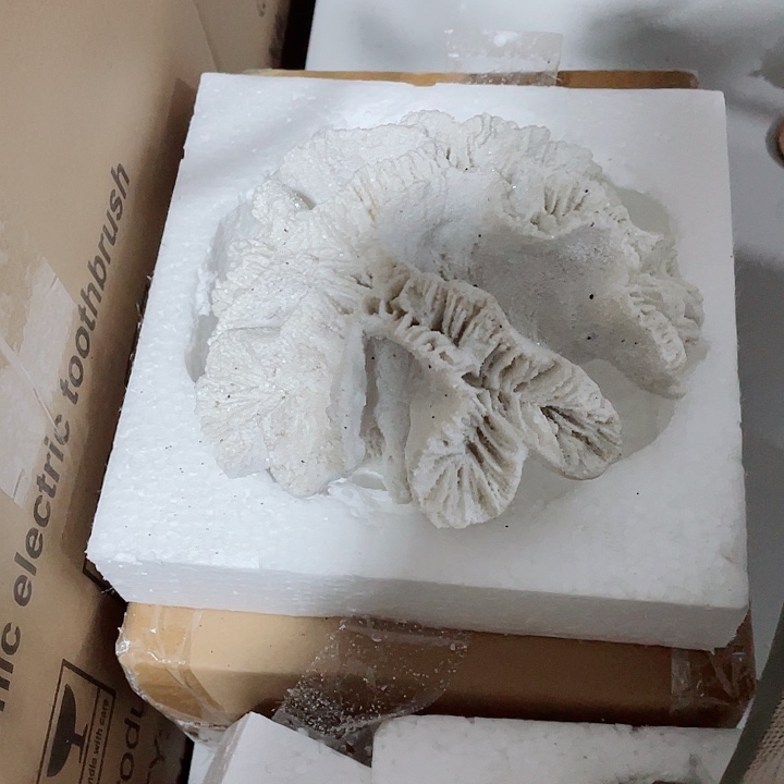 摆件孤品老货微瑕瓷