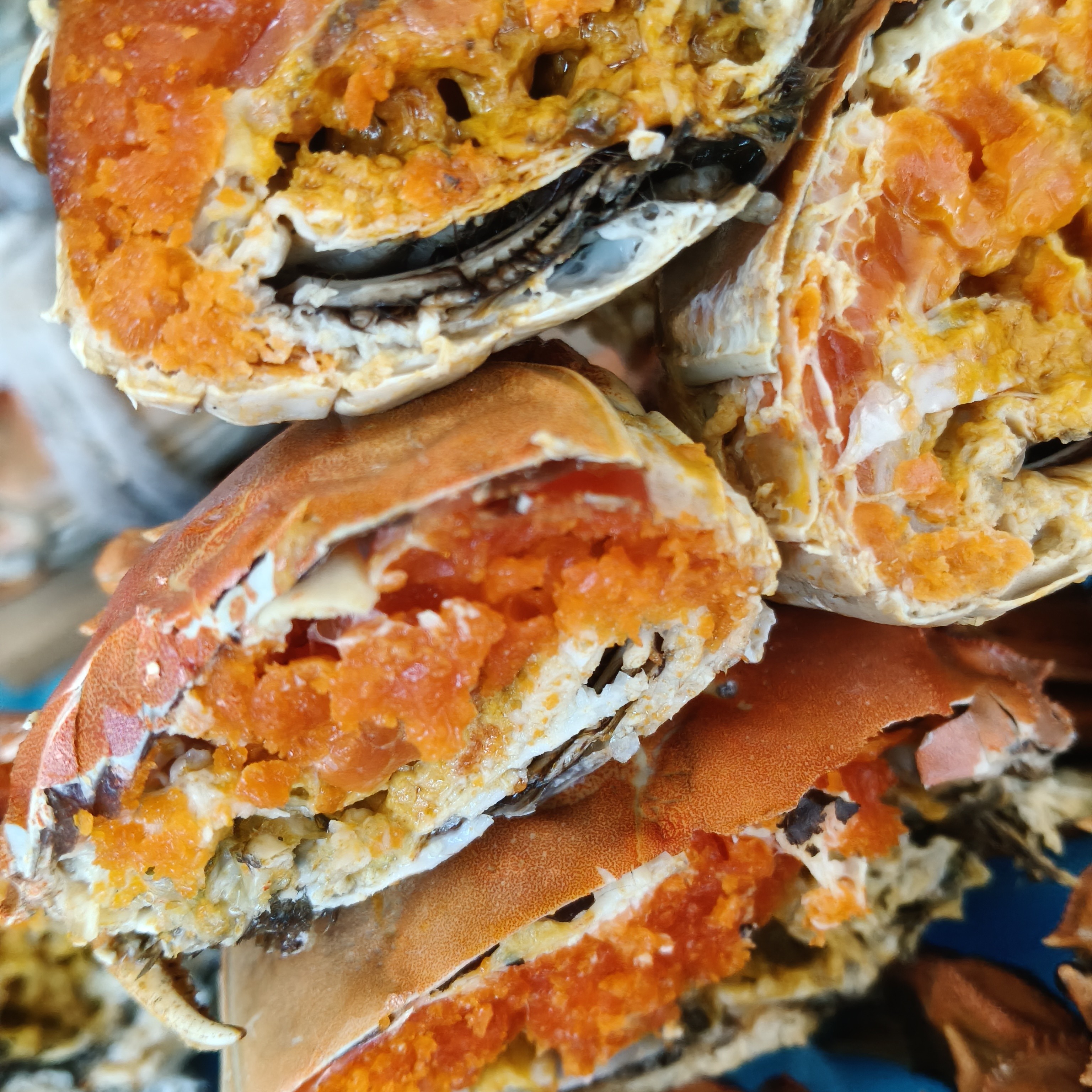 【活蟹现发】精品大闸蟹2.5两母蟹（2.5-2.3两）6-10只装