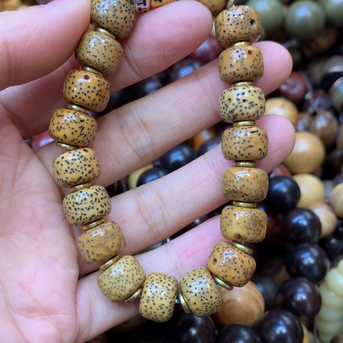 【闪购商品】木13鸡油黄星月福利福利福利