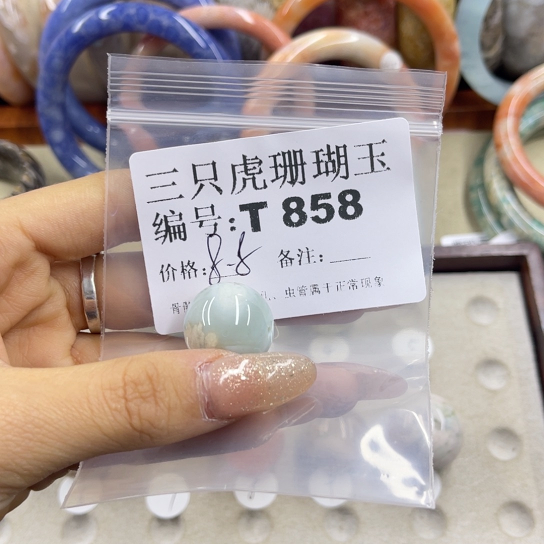 家***宝硅化珊瑚（珊瑚玉）未镶嵌h