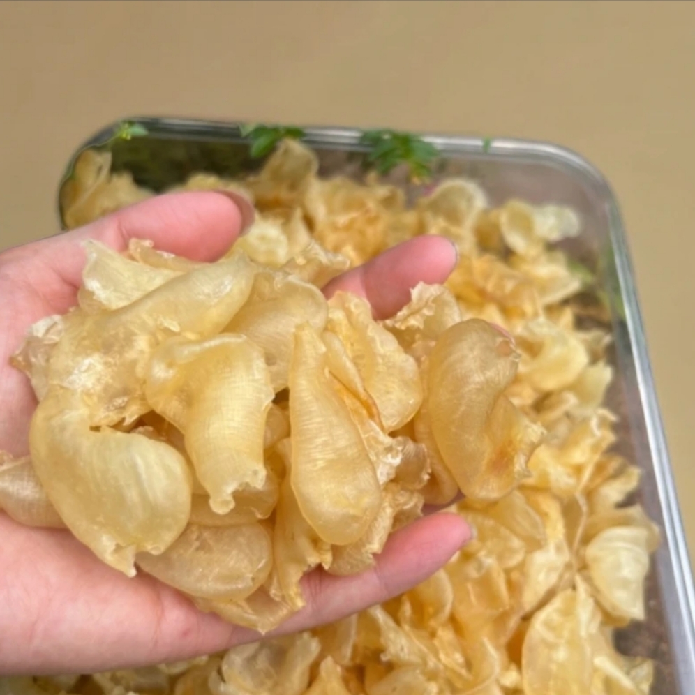 鲈鱼胶 小珍珠胶250-300头 鱼胶鱼肚 小珍珠胶 海产干货250g500g
