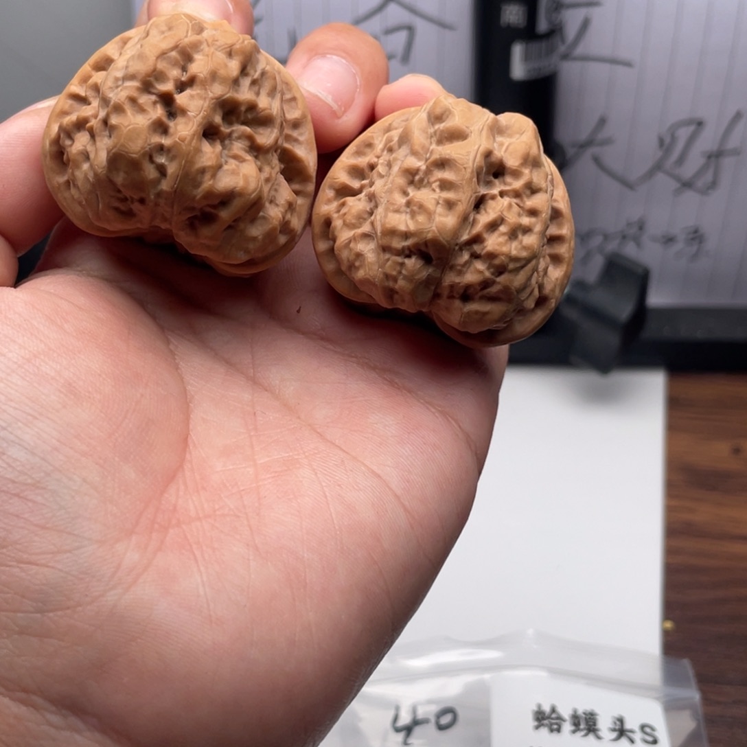 菩提籽类1436蛙蛙蛙蛙