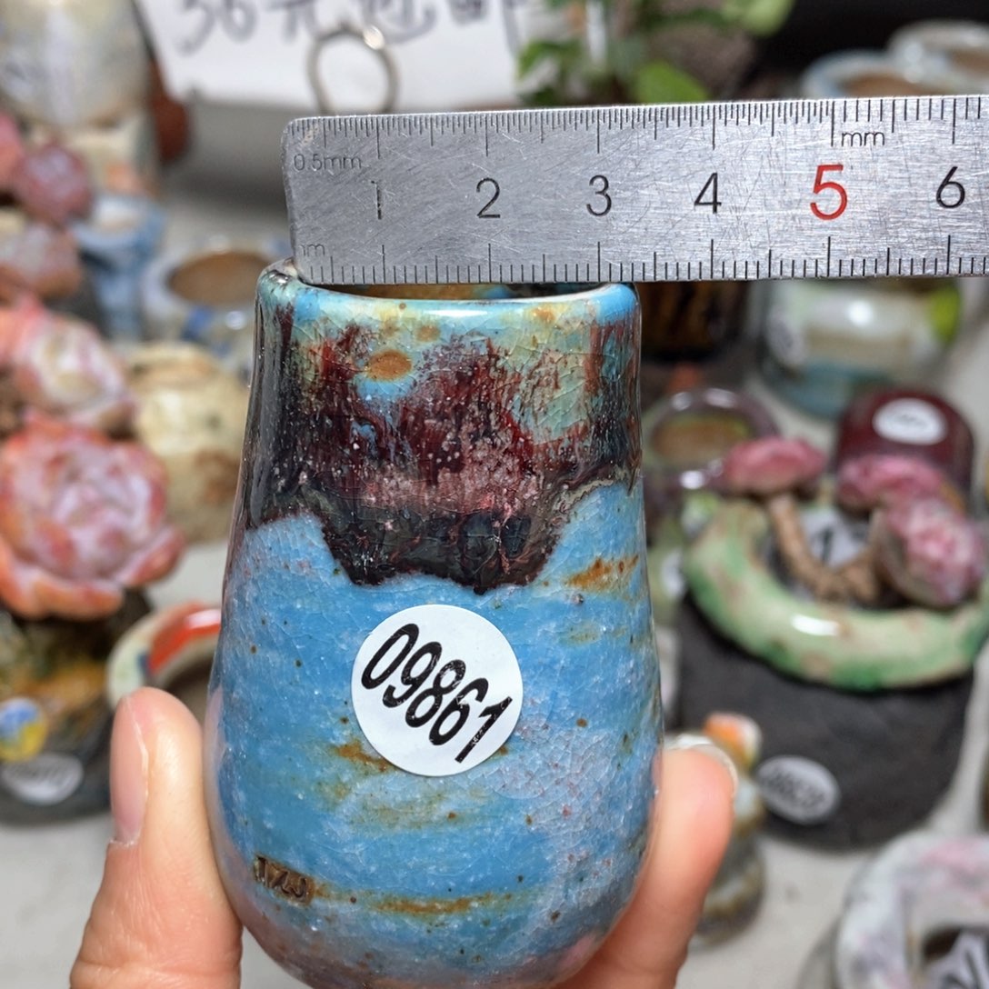 花盆拍5送一个小礼物